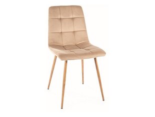 Ruokailutuolisarja Signal Mila D Velvet, 4 tuolia, beige/ruskea hinta ja tiedot | Ruokapöydän tuolit | hobbyhall.fi