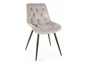 Ruokailutuolisarja Signal Praga Velvet, 4 tuolia, harmaa/musta hinta ja tiedot | Ruokapöydän tuolit | hobbyhall.fi