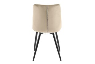 Ruokailutuolisarja Signal Ralph Velvet, 4 tuolia, beige/musta hinta ja tiedot | Ruokapöydän tuolit | hobbyhall.fi