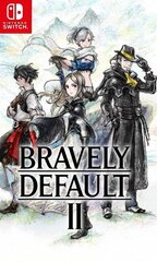 Nintendo Switch peli Bravely Default II hinta ja tiedot | Tietokone- ja konsolipelit | hobbyhall.fi