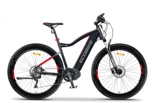 Sähkölauta Ecobike RX 500 19 ", 17,5ah LG, 2021 hinta ja tiedot | Sähköpyörät | hobbyhall.fi