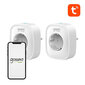 Gosund Smart socket WiFi Gosund SP1 (2 kpl), Tuya hinta ja tiedot | Kytkimet ja pistorasiat | hobbyhall.fi