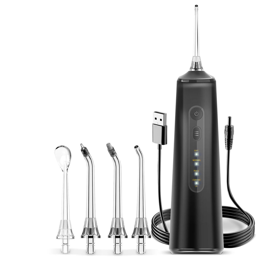 Berdsen Oral irrigator hammasvälihuuhtelulaite, 4 eri päätä, 270 ml hinta ja tiedot | Hammasvälisuihkut | hobbyhall.fi