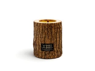 WoodMood Rocky Compact CONIFEROUS relekynttilä havupuun eteerisillä öljyillä hinta ja tiedot | Kynttilät ja kynttilänjalat | hobbyhall.fi