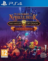 PlayStation 4 peli Dungeon of Naheulbeuk: The Amulet of Chaos - Chicken Edition hinta ja tiedot | Tietokone- ja konsolipelit | hobbyhall.fi