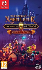 Nintendo Switch peli Dungeon of Naheulbeuk: The Amulet of Chaos - Chicken Edition hinta ja tiedot | Just for Gamers Pelaaminen | hobbyhall.fi
