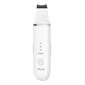 ANLAN ANLAN Ultrasonic Skin Scrubber ALCPJ07-02 (valkoinen) hinta ja tiedot | Kasvojenhoitolaitteet | hobbyhall.fi
