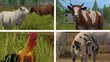 PlayStation 4 peli Farming Simulator 17 Ambassador Edition hinta ja tiedot | Tietokone- ja konsolipelit | hobbyhall.fi