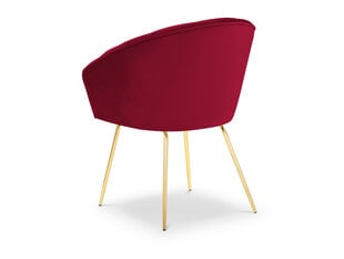 Milo Casa Lucia tuoli, punaisen ja kultaisen värinen hinta ja tiedot | Ruokapöydän tuolit | hobbyhall.fi