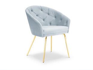 Milo Casa Lucia tuoli, vaalean sinisen ja kultaisen värinen hinta ja tiedot | Ruokapöydän tuolit | hobbyhall.fi