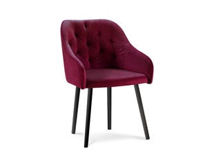 Micadoni Home Nissi, punaisen värinen tuoli hinta ja tiedot | Ruokapöydän tuolit | hobbyhall.fi