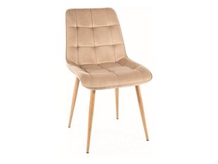 Ruokailutuolisarja Signal Chic D Velvet, 4 tuolia, beige/ruskea hinta ja tiedot | Ruokapöydän tuolit | hobbyhall.fi