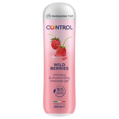 CONTROL HIERING GEL 3 in 1 WILD MARJAS 200 ML hinta ja tiedot | Hierontaöljyt | hobbyhall.fi