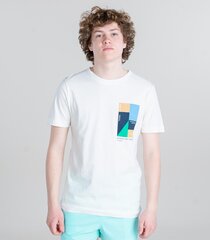 Tom Tailor miesten t-paita 1035582*10906, valkoinen hinta ja tiedot | Miesten T-paidat | hobbyhall.fi