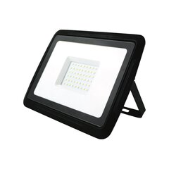 EUROLIGHT LED valonheitin 50W, 4000lm hinta ja tiedot | Puutarha- ja ulkovalot | hobbyhall.fi