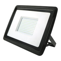 EUROLIGHT LED valonheitin 100W, 8000lm hinta ja tiedot | Puutarha- ja ulkovalot | hobbyhall.fi