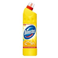 WC -puhdistusaine Domestos Citrus, 750 ml hinta ja tiedot | Puhdistusaineet | hobbyhall.fi