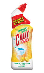 WC-puhdistusaine Cillit Lemon, 750ml hinta ja tiedot | Puhdistusaineet | hobbyhall.fi