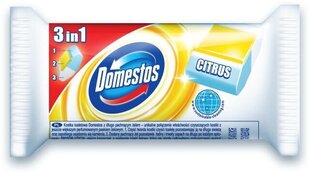 WC-raikaste DOMESTOS täyttö Citrus Fresh, 40g. hinta ja tiedot | Puhdistusaineet | hobbyhall.fi