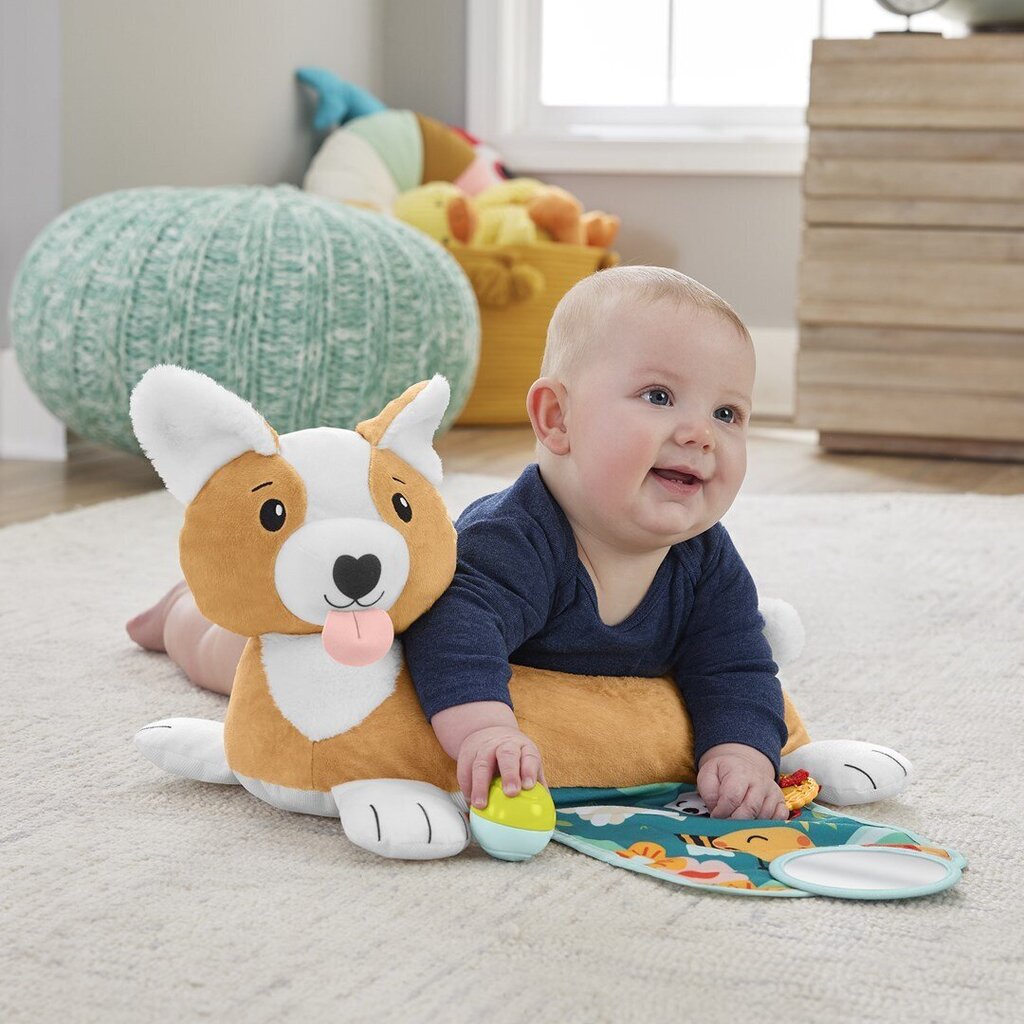 Koiratyyny vauvalle hinta ja tiedot | Vauvan lelut | hobbyhall.fi