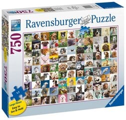 Ravensburger Puzzle 99 rakastettavat koirat 750plf 16939 hinta ja tiedot | Palapelit | hobbyhall.fi