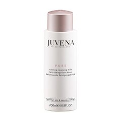 Juvena Pure Cleansing puhdistusmaito 200 ml hinta ja tiedot | Kasvojen puhdistusaineet | hobbyhall.fi