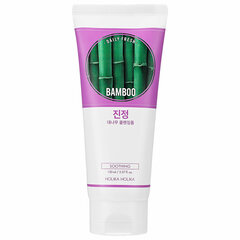 Puhdistava kasvomaito Holika Daily Fresh Bamboo 150 ml hinta ja tiedot | Kasvojen puhdistusaineet | hobbyhall.fi