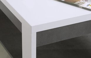 Brugia-sohvapöytä, valkoinen-valkoinen korkeakiiltoinen/tummanharmaa hinta ja tiedot | Sohvapöydät | hobbyhall.fi
