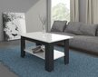 Elaiza-sohvapöytä, musta/valkoinen hinta ja tiedot | Sohvapöydät | hobbyhall.fi