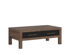 Sohvapöytä BRW Balin 2S, ruskea/musta hinta ja tiedot | Sohvapöydät | hobbyhall.fi