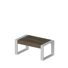 Kahvipöytä Kalune Design Retro, ruskea/valkoinen hinta ja tiedot | Sohvapöydät | hobbyhall.fi