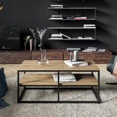 Forteaus sohvapöytä, ruskea hinta ja tiedot | Sohvapöydät | hobbyhall.fi