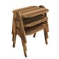 3-sohvapöytäsetti Kalune Design 845 (I), ruskea hinta ja tiedot | Sohvapöydät | hobbyhall.fi