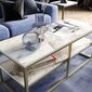 Kalune Design Forteaus sohvapöytä, kullanvärinen hinta ja tiedot | Sohvapöydät | hobbyhall.fi