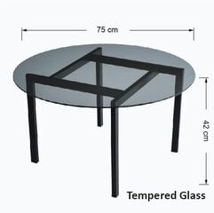 Sohvapöytä Kalune Design Balance, musta hinta ja tiedot | Sohvapöydät | hobbyhall.fi