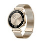 Huawei Watch GT 4 Light Gold Milanese 41mm hinta ja tiedot | Älykellot | hobbyhall.fi