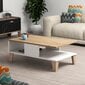 Kalune Design Sumer O2040 -sohvapöytä, ruskea/valkoinen hinta ja tiedot | Sohvapöydät | hobbyhall.fi