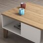 Kalune Design Sumer O2040 -sohvapöytä, ruskea/valkoinen hinta ja tiedot | Sohvapöydät | hobbyhall.fi