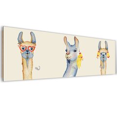 Seinäripustin, Laama, 70x25cm hinta ja tiedot | Naulakot | hobbyhall.fi