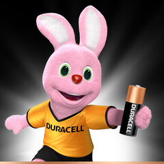 Paristot Duracell MN21 1 kpl hinta ja tiedot | Paristot | hobbyhall.fi