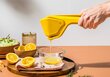 Sitruunapuristin Dreamfarm Fluicer Lemon hinta ja tiedot | Keittiövälineet | hobbyhall.fi