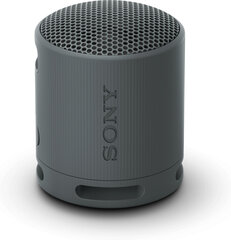 Sony SRS-XB100 Black hinta ja tiedot | Kaiuttimet | hobbyhall.fi