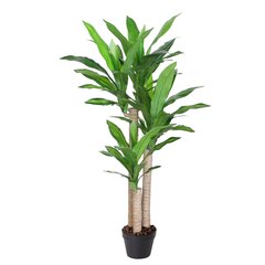 Tekopuu DRACAENA, H125cm, 3 puurunkoa, musta ruukku hinta ja tiedot | Keinotekoiset kukat | hobbyhall.fi