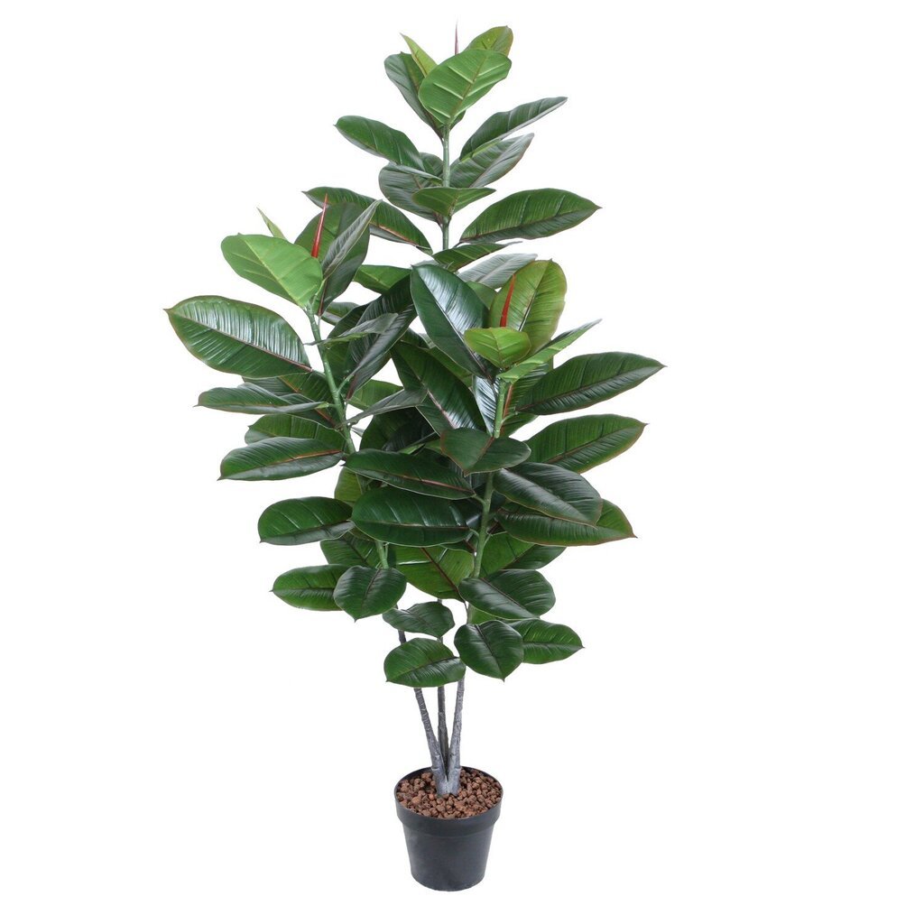 Tekopuu RUBBER PLANT, H130cm, 3 puunrunkoa, musta ruukku hinta ja tiedot | Keinotekoiset kukat | hobbyhall.fi