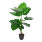 Vihreä kasvi POTHOS H90cm hinta ja tiedot | Keinotekoiset kukat | hobbyhall.fi