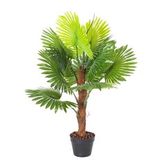 Vihreä kasvi FAN PALM H100cm hinta ja tiedot | Keinotekoiset kukat | hobbyhall.fi