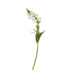 Snapdragon IN GARDEN, K49cm, valkoinen hinta ja tiedot | Keinotekoiset kukat | hobbyhall.fi