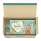 Vaipat Pampers Premium Care, koko 3 6-10 kg, 120 kpl. + LAHJA Harmonie Aqua 48 -lautasliinat vauvoille hinta ja tiedot | Vaipat | hobbyhall.fi