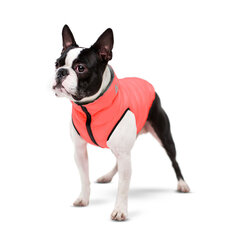 Kaksipuolinen koiran takki AiryVest, eri kokoja, vaaleanpunainen/harmaa hinta ja tiedot | Koiran vaatteet | hobbyhall.fi