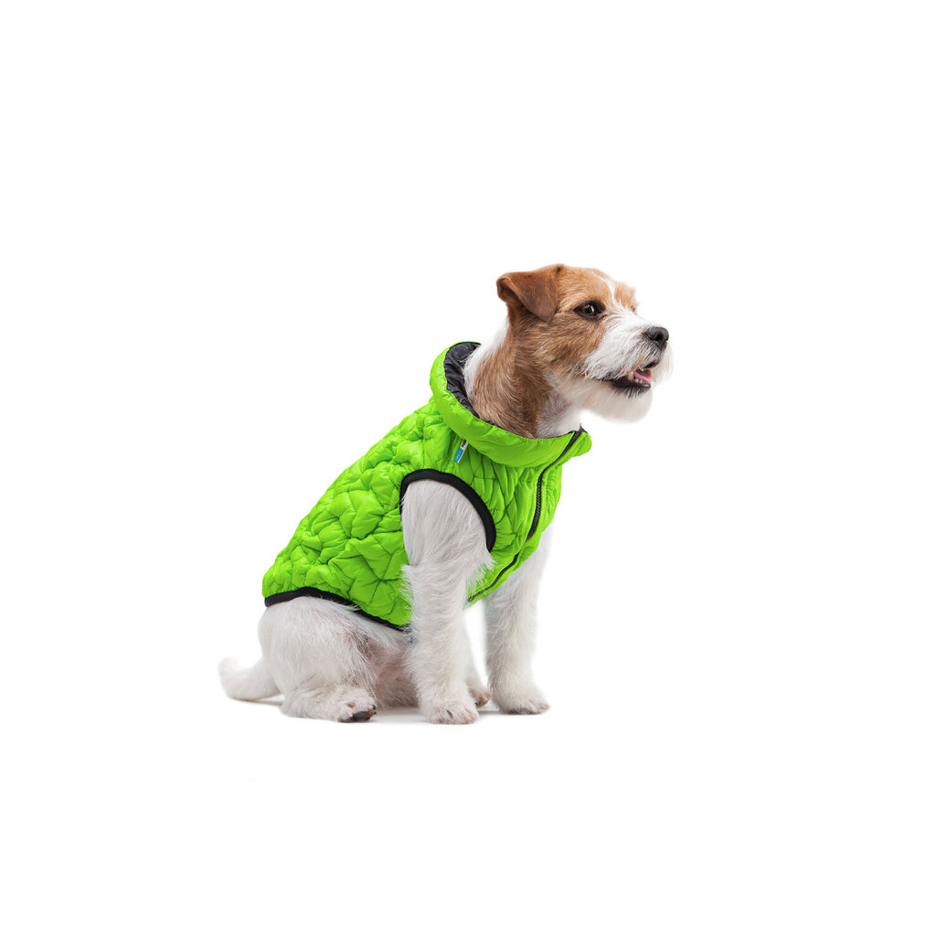 Koiran takki AiryVest, eri kokoja, vihreä hinta ja tiedot | Koiran vaatteet | hobbyhall.fi